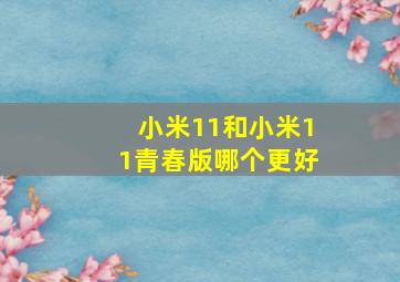 小米11和小米11青春版哪个更好