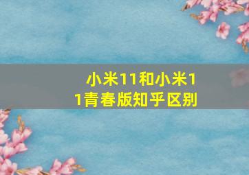 小米11和小米11青春版知乎区别