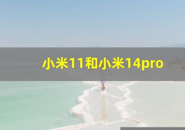 小米11和小米14pro