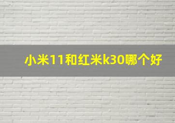 小米11和红米k30哪个好