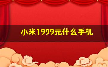 小米1999元什么手机