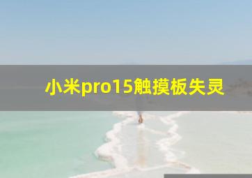 小米pro15触摸板失灵