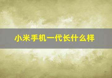 小米手机一代长什么样