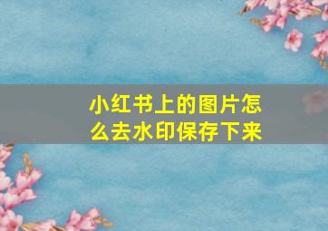 小红书上的图片怎么去水印保存下来