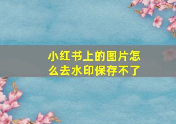 小红书上的图片怎么去水印保存不了