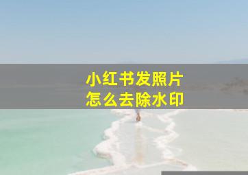 小红书发照片怎么去除水印