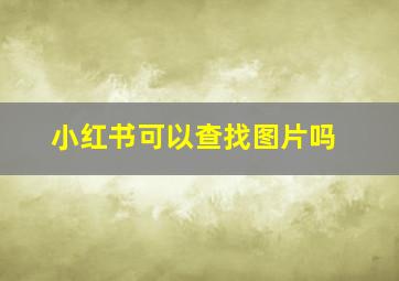 小红书可以查找图片吗