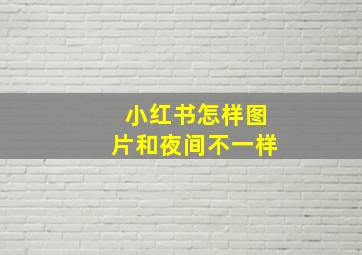 小红书怎样图片和夜间不一样