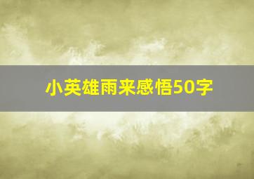 小英雄雨来感悟50字