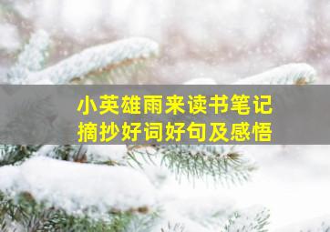 小英雄雨来读书笔记摘抄好词好句及感悟