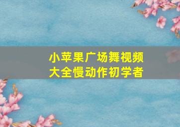 小苹果广场舞视频大全慢动作初学者