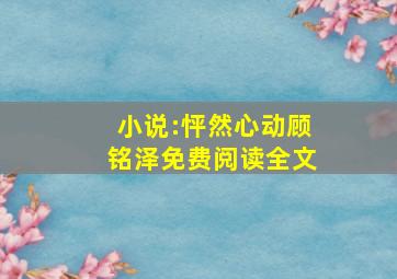 小说:怦然心动顾铭泽免费阅读全文