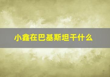 小鑫在巴基斯坦干什么