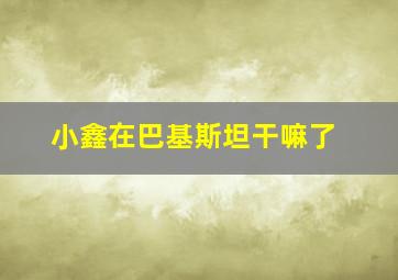 小鑫在巴基斯坦干嘛了