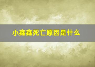 小鑫鑫死亡原因是什么