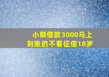 小额借款3000马上到账的不看征信18岁