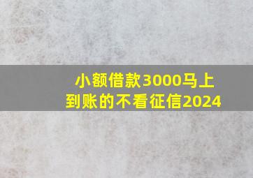 小额借款3000马上到账的不看征信2024