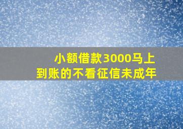 小额借款3000马上到账的不看征信未成年