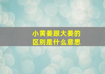 小黄姜跟大姜的区别是什么意思