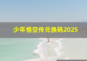 少年悟空传兑换码2025