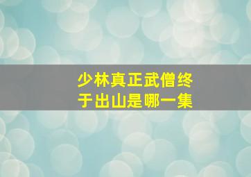 少林真正武僧终于出山是哪一集