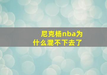 尼克杨nba为什么混不下去了