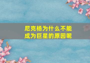 尼克杨为什么不能成为巨星的原因呢