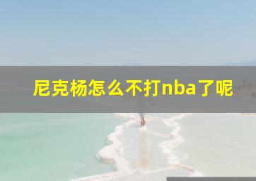 尼克杨怎么不打nba了呢