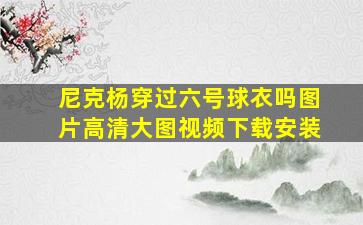 尼克杨穿过六号球衣吗图片高清大图视频下载安装