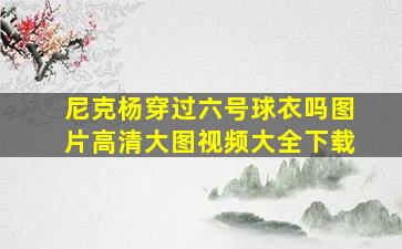 尼克杨穿过六号球衣吗图片高清大图视频大全下载