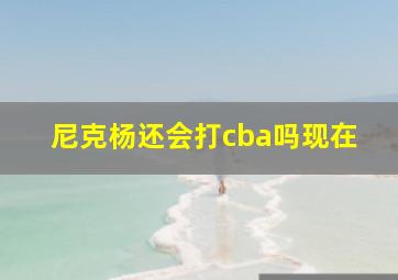 尼克杨还会打cba吗现在