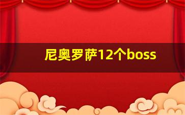 尼奥罗萨12个boss