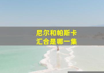 尼尔和帕斯卡汇合是哪一集