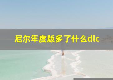 尼尔年度版多了什么dlc