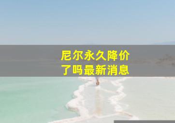 尼尔永久降价了吗最新消息