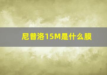 尼普洛15M是什么膜