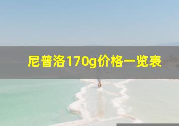 尼普洛170g价格一览表