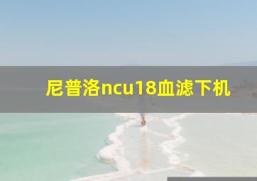 尼普洛ncu18血滤下机