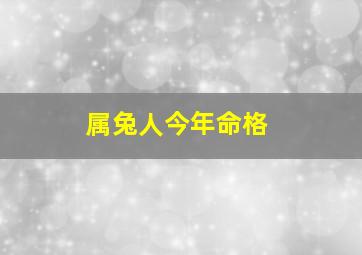 属兔人今年命格