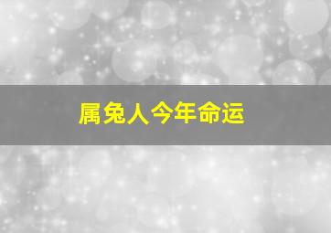 属兔人今年命运