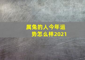 属兔的人今年运势怎么样2021