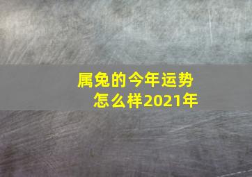 属兔的今年运势怎么样2021年