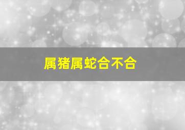 属猪属蛇合不合