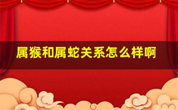 属猴和属蛇关系怎么样啊