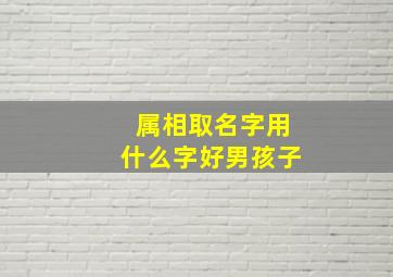 属相取名字用什么字好男孩子