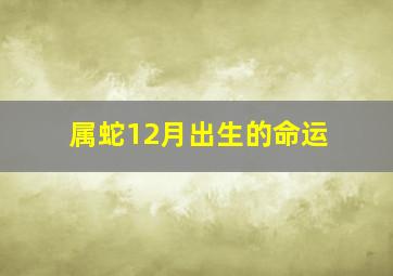 属蛇12月出生的命运