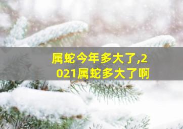 属蛇今年多大了,2021属蛇多大了啊