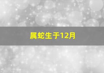 属蛇生于12月