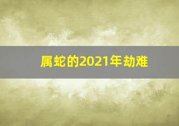 属蛇的2021年劫难