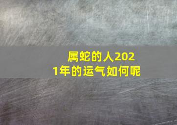 属蛇的人2021年的运气如何呢